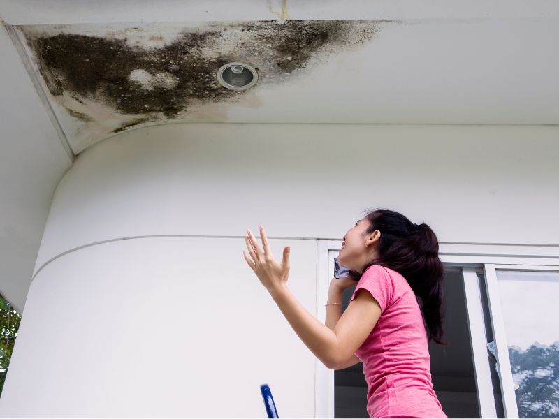 ⭐天花板發霉到底該找誰？別讓黴菌偷走你的健康！一篇帶你了解天花板發霉原因