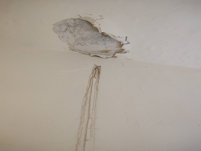 💦 漏水不再煩惱｜一次解決家裡的水管問題 🏠