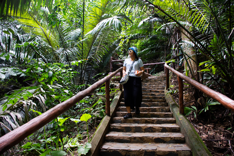 為甚麼臺灣需要一座熱帶雨林植物園