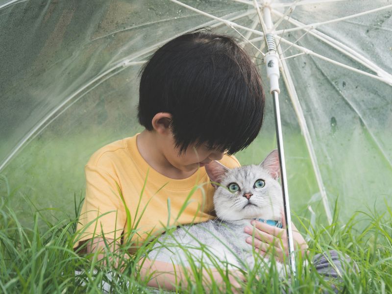 寵物火化注意事項