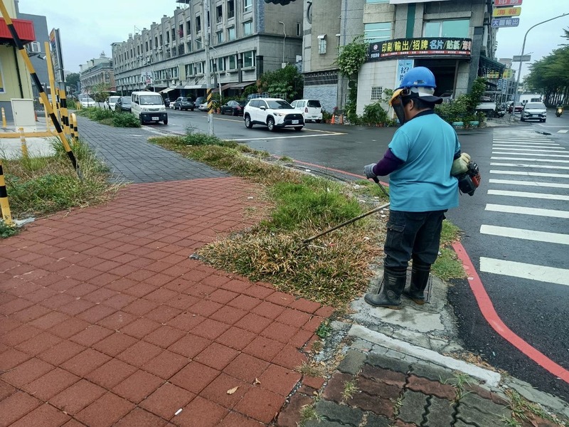 專業砍樹除草服務 