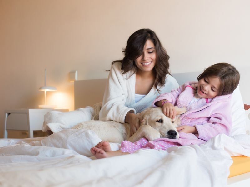 寵物墓園後續安置