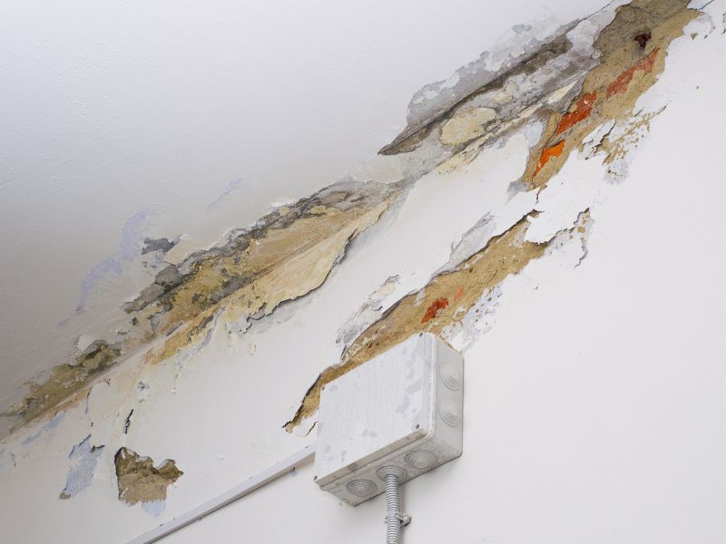 天花板發霉影響有什麼