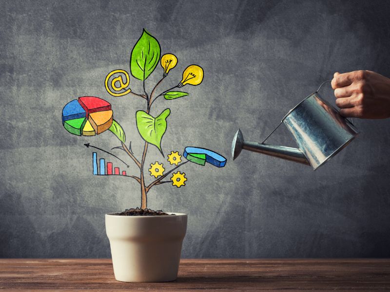 店面招財植物有哪些 店面招財植物有哪些