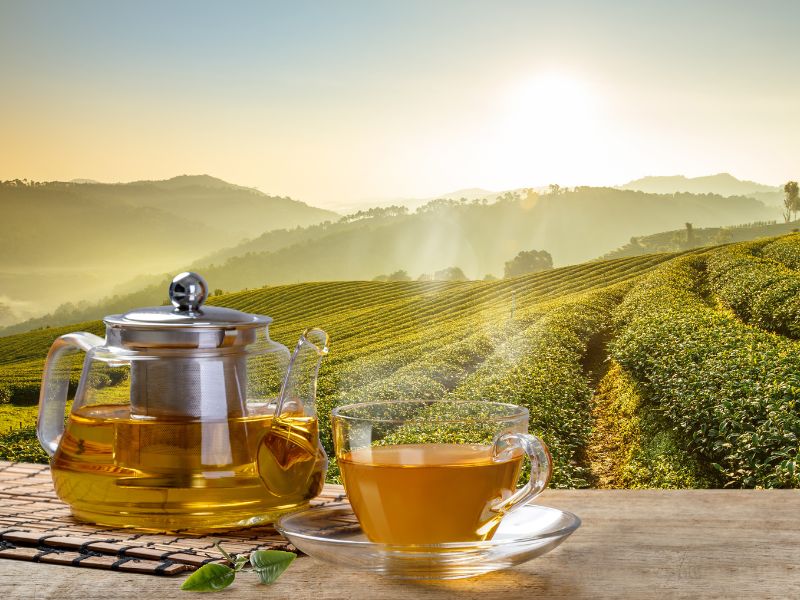 ⭐茶行懶人包來囉！新手走進茶行不心慌！5 分鐘掌握核心知識，挑出你的命定茶