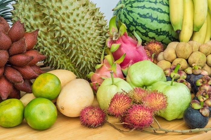 果樹苗怎麼種？超簡單打造夢幻果園🍑從陽台開始也OK
