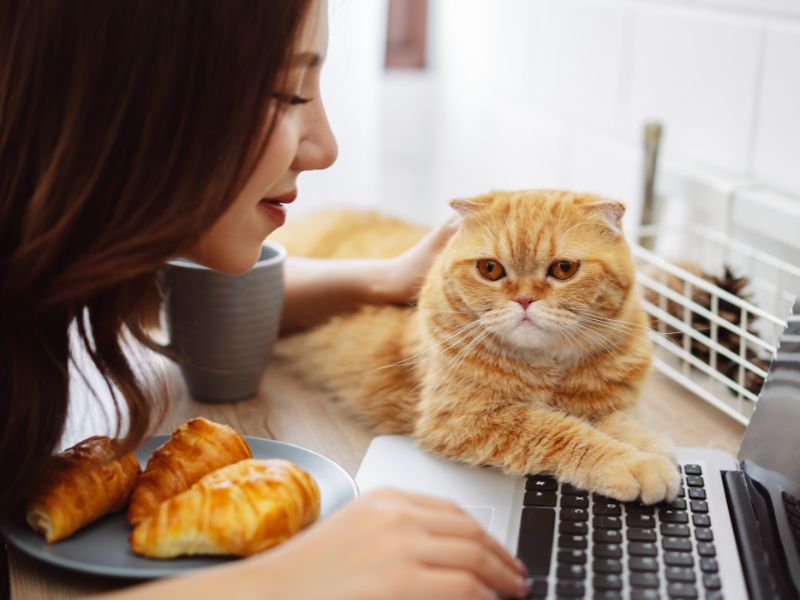 第一次住寵物旅館要注意什麼