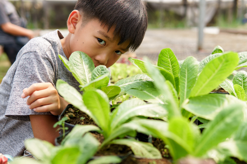 培養孩子的世界觀