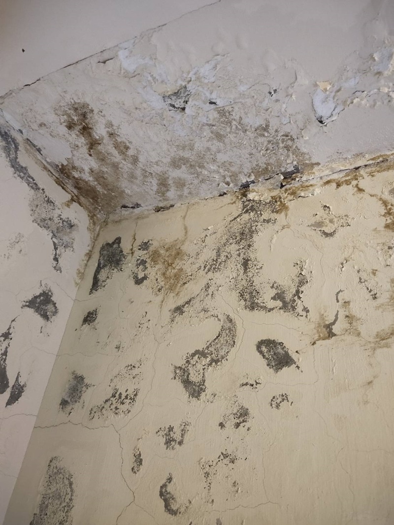 漏水拖延的代價 漏水拖延的代價