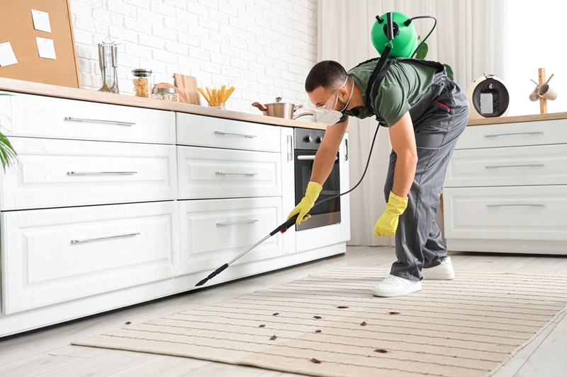 宏太-高雄除蟲-1