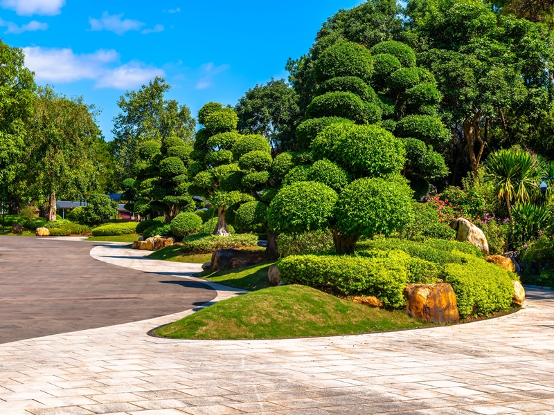 景觀設計不只是種花樹！打造自然療癒生活空間的庭園園藝造景新趨勢 🌿