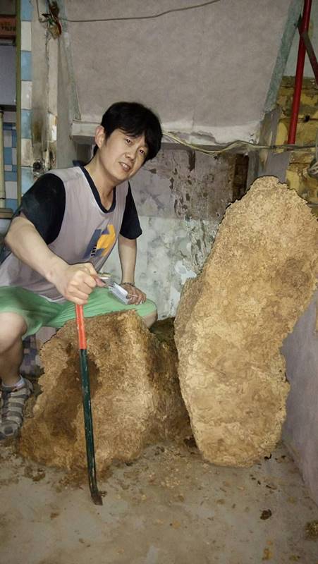 高雄消毒+高雄白蟻防治大補帖:你該知道的5個白蟻問題一次解答!宏太除蟲企業行