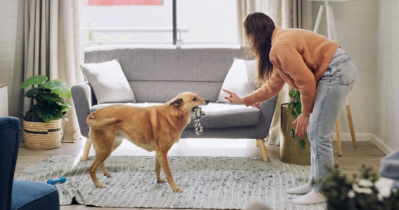 帝大寵物-TTQS雙認證-3