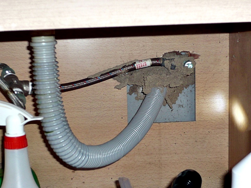 宏太-害蟲防治-4