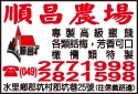 順昌農場-undefined