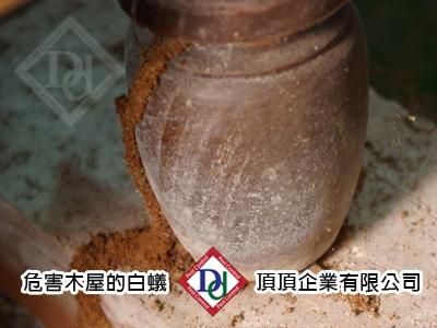 頂頂企業有限公司-undefined