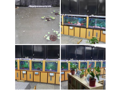 魚客集水族館-undefined