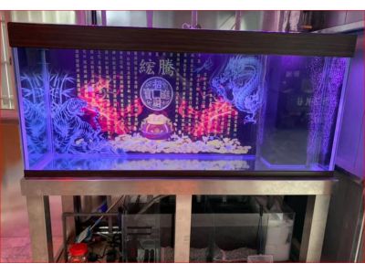 魚客集水族館-undefined