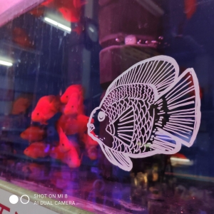 魚客集水族館-undefined