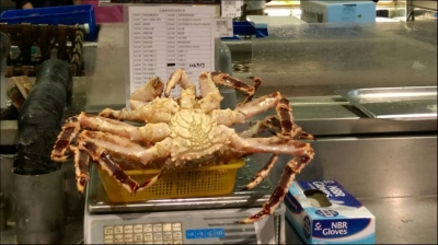 上引水產-undefined