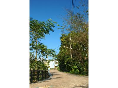 雲林縣古坑鄉華山休閒農業區發展協會-undefined