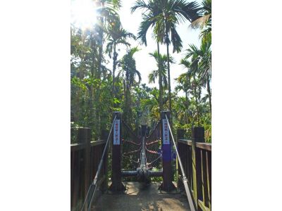 雲林縣古坑鄉華山休閒農業區發展協會-undefined