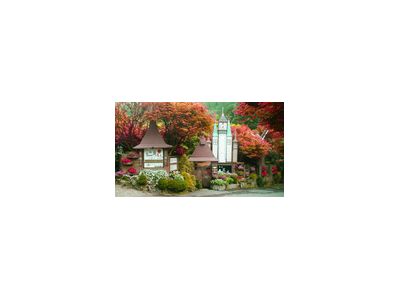 台北奧萬大-undefined