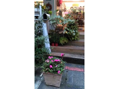 花生活花店-undefined