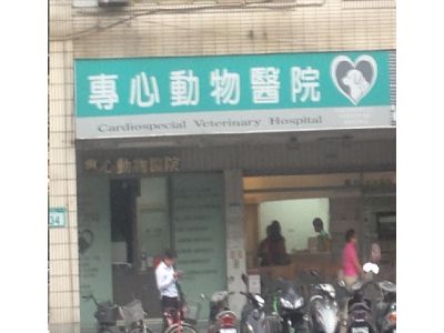 專心動物醫院-undefined