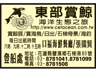 東部賞鯨一號-undefined