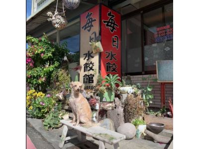 每日水餃館-undefined