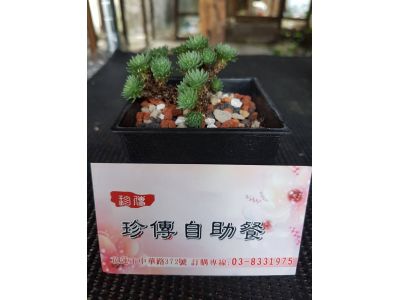 珍傳自助餐-undefined