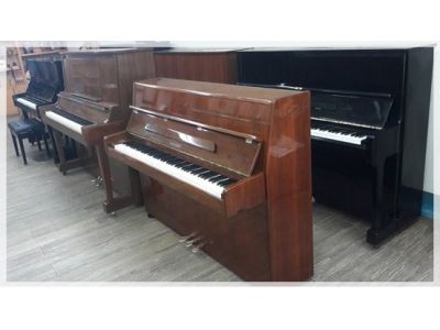 知音樂坊-undefined