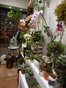 鍾安花藝工作室-undefined