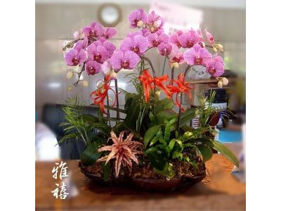 雅捷禮品店-undefined