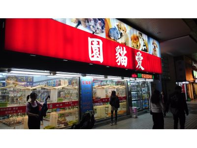 黃金貓有限公司-undefined