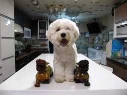 億安廚具燈飾衛浴展示中心-undefined