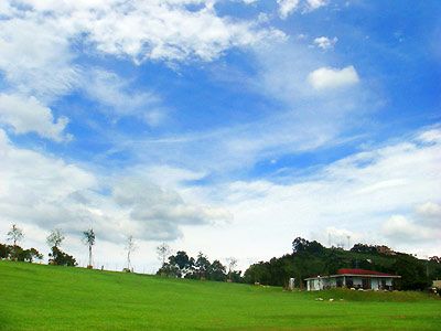 自然風情民宿-undefined