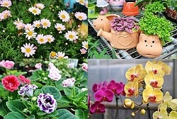 福田觀光花園-undefined