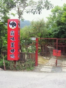 霸味薑母鴨 礁溪店-undefined