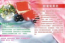 德恩生技有限公司-undefined