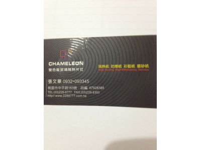 桃園變色龍隔熱紙-undefined