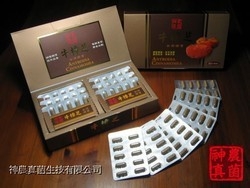 神農真菌生技有限公司-undefined