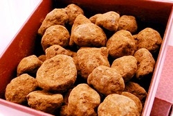 幸福可可手工巧克力工坊-undefined