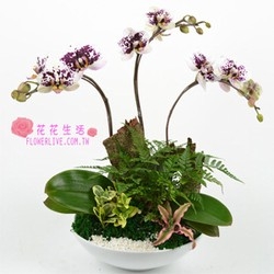 旺旺生鮮蔬果行-undefined