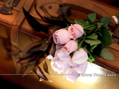 森林花苑-undefined