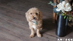 大腳丫養生館-undefined