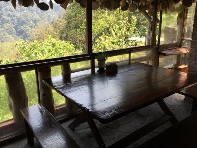 山行玫瑰-undefined