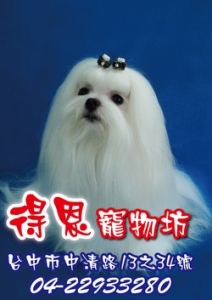 得恩寵物坊-undefined