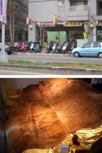 文佳企業有限公司-undefined